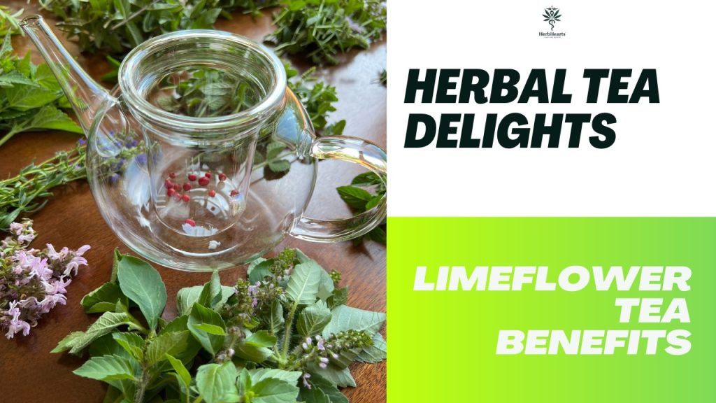 LINDEN (LIMEFLOWER) TEA – Herbhearts